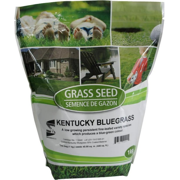 1kg Kentucky Bluegrass Grass Seed Walmart.ca