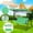 Green, variant on Wooden Chairs for Dining Room with Beach Chairs for Adults Heavy Duty Tall Kids Table And Chairs with Storage Camping Chairs for Adults Heavy Duty Toddler Chairs for Girls with Seat Belt Swing