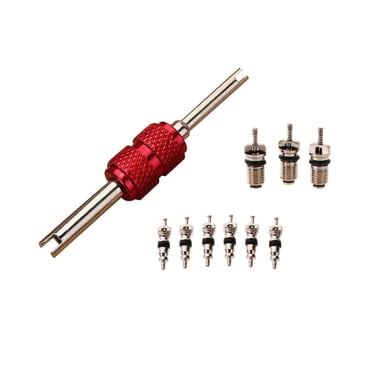 Bgsha 9 Pcs Noyaux de Soupape de Climatisation + 1 Pce Outil de Retrait Kit de Réparation de Système A/C