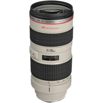Canon EF 70-300mm f/4-5.6 L IS USM DSLR Camera Zoom Lens - Walmart.com