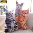 thumbnail image 3 of Jouet en Peluche 50CM Expression Mignonne Simulation Oreiller Chat Décoration de Chambre Canapé Coussin, 3 of 3