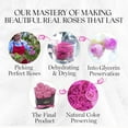 thumbnail image 6 of GLAMOUR BOUTIQUE 7-Piece Forever Flowers Heart Shape Box - Preserved Roses, Immortal Roses That Last A Year - Eternal Rose Preserved Flowers for Delivery Prime Mothers Day & Valentines Day - Pink, 6 of 9