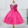thumbnail image 5 of CNKOO Robe Princesse en Dentelle Cendrillon pour Petites Filles Robes de Bal de Concours Robes de Filles en Tulle Fleur, 5 of 5