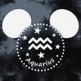 thumbnail image 2 of Junior's Mickey & Friends Aquarius Mousey Silhouette Graphic Crop T-Shirt Black/Charcoal Medium, 2 of 4