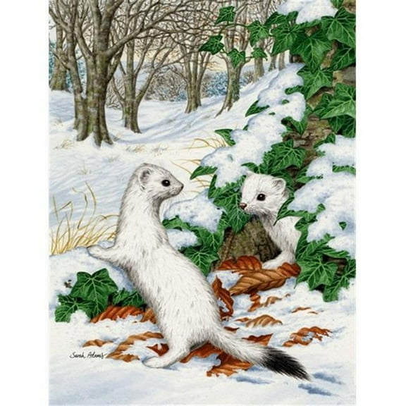 Stoats Short-Tailed Weasel Flag Garden Size