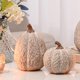 thumbnail image 1 of AOMONOA Decoración de calabaza artificial, calabazas decorativas marrones y blancas, figuras de calabazas de resina de Acción de Gracias, juego de 2 estatuas de calabaza talladas para mesa rústica de, 1 of 1