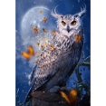 thumbnail image 1 of Juego de pintura de diamante de búho para adultos y niños, 30 x 40 cm, juego de pintura de diamante de mariposa 5D DIY, juego de arte de diamante redondo lleno de luz de luna, pintura de punto de cruz, 1 of 5