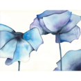 thumbnail image 3 of Hendrick, Cathy 18x15 Black Modern Framed Museum Art Print Titled - Blue Poppy II, 3 of 5