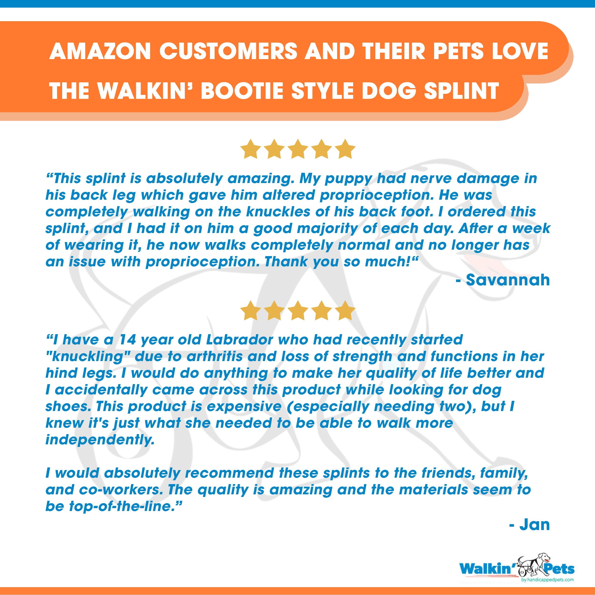 bootie splint for dogs