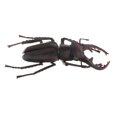 thumbnail image 4 of Juguete modelo animal del para lección de ciencia de CUTICAT Juguete realista de insectos naturales, 4 of 8