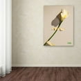 thumbnail image 3 of Trademark Fine Art "Lily" Canvas Art by Roderick Stevens, 3 of 3