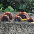thumbnail image 4 of Estantes de Pared de Champiñones, Lindos Estantes de Pared de Champiñones Reishi Resina Artificial para Cabaña al Aire Libre, 4 of 7