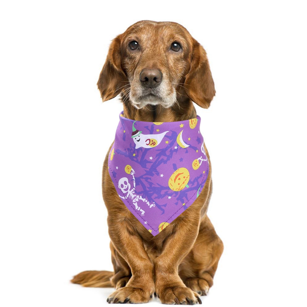 funny dog bandanas