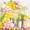 Yellow Pink Lemon, variant on Lemon Balloon Arch Garland Kit, Pink and Pastel Yellow Balloon with Green Yellow Lemon Foil Balloons for Baby Shower Bridal Wedding Graduation Birthday Lemonade Theme Party Decorations