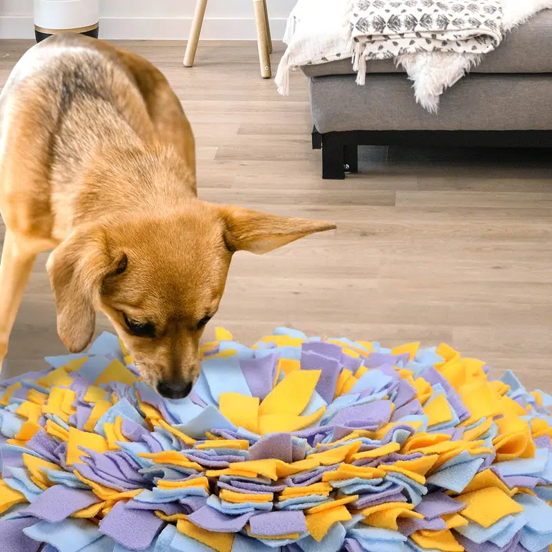 target pet feeding mat