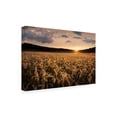 thumbnail image 3 of Canvas Wall Art - Christian Lindsten 'Fields Of Gold' Wall Art for Living Room, Bedroom, or Office Décor by Trademark Fine Art - 24 x 16 Inches, 3 of 4