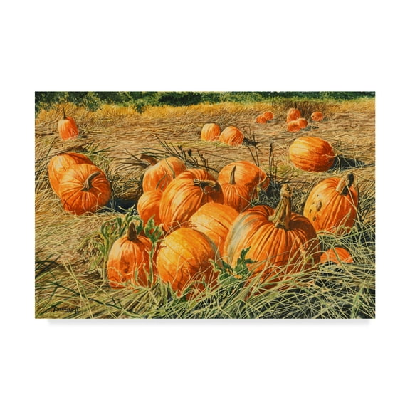 Trademark Fine Art 'Pumpkin Harvest' Canvas Art by Michael Davidoff