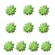 thumbnail image 2 of Advancent 10 piezas de suculentas falsas plantas simuladas Flores artificiales tipo 30, 2 of 6