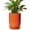 Orange, variant on 10 Inch Black Ceramic Planter with Drainage Hole – Large Round Flower Pot for Snake Plants, Monstera, Indoor Outdoor
