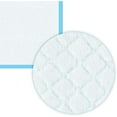 thumbnail image 3 of (3 pack) Waterproof Dog and Puppy Pet Training Pad,Housebreaking Pet Pad,50-Count Small-Size,"17.1X23.6", 3 of 7