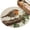 Beige, variant on Bird Entryway Rug 2x3ft Washable Non Slip Bathroom Rug Indoor Floor Front Door Mat Ivy Branch Animal Green Botanical Leaf Rustic Rectangle Area Rugs Carpet for Kitchen Office Dining Room Home