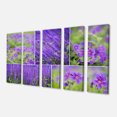 thumbnail image 2 of Blue Spring Flowers Collage - Floral Canvas Art Print, 2 of 3