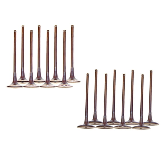 DNJ VK16168 Exhaust Intake Valve Kit Fits Cars & Trucks 06-18 Hyundai Kia L4 2.0L 2.4L DOHC 16V