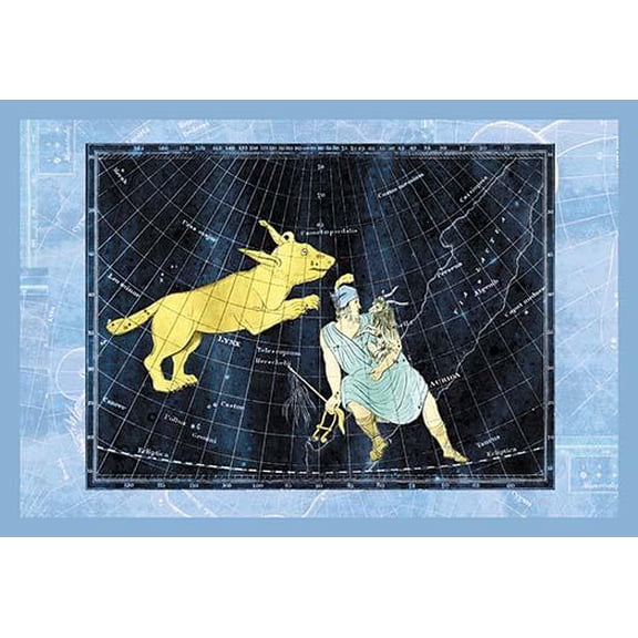 Lynx and Auriga #1- Fine Art Canvas Print (20" x 30")