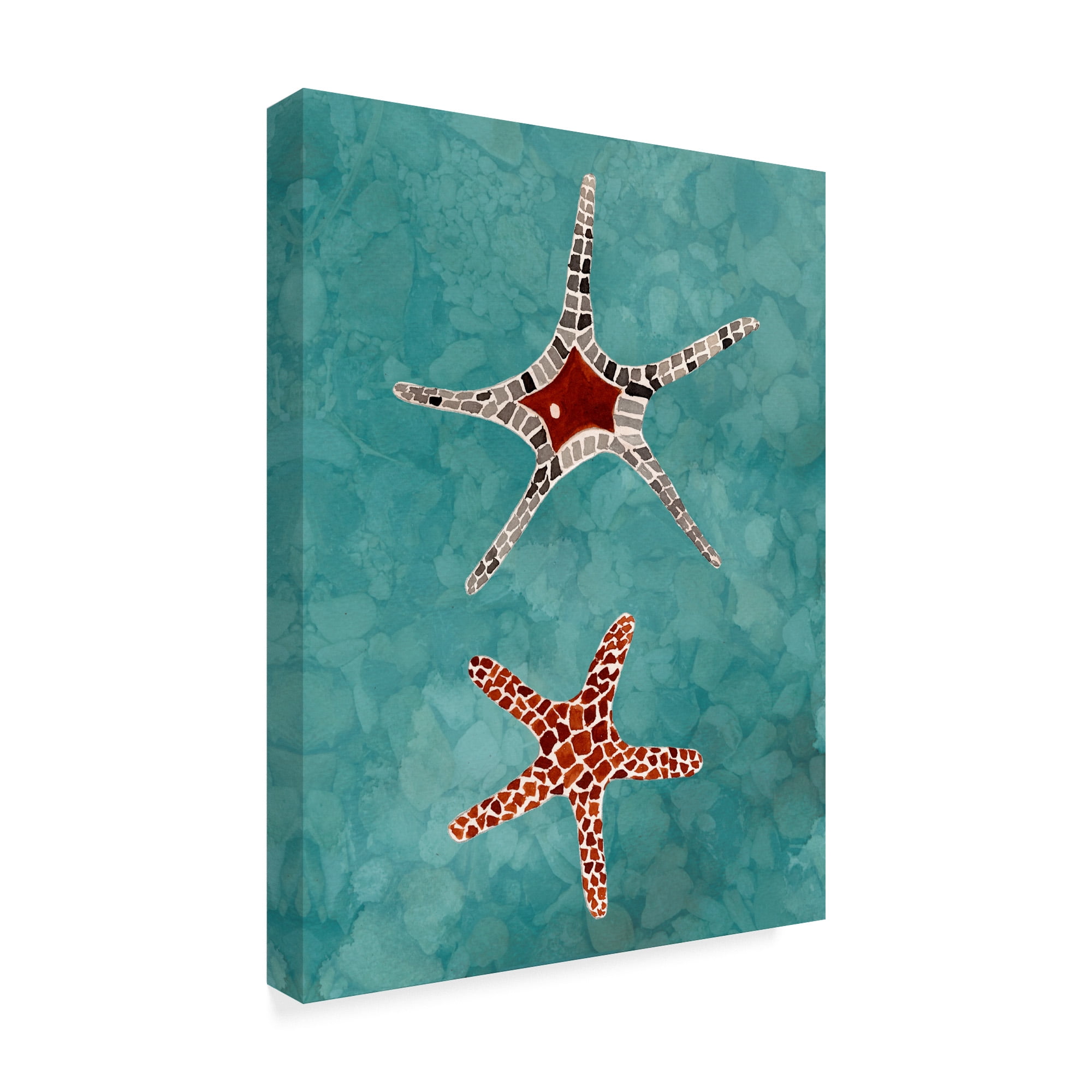 Trademark Fine Art 'Twin Starfish I' Canvas Art by Alicia Ludwig