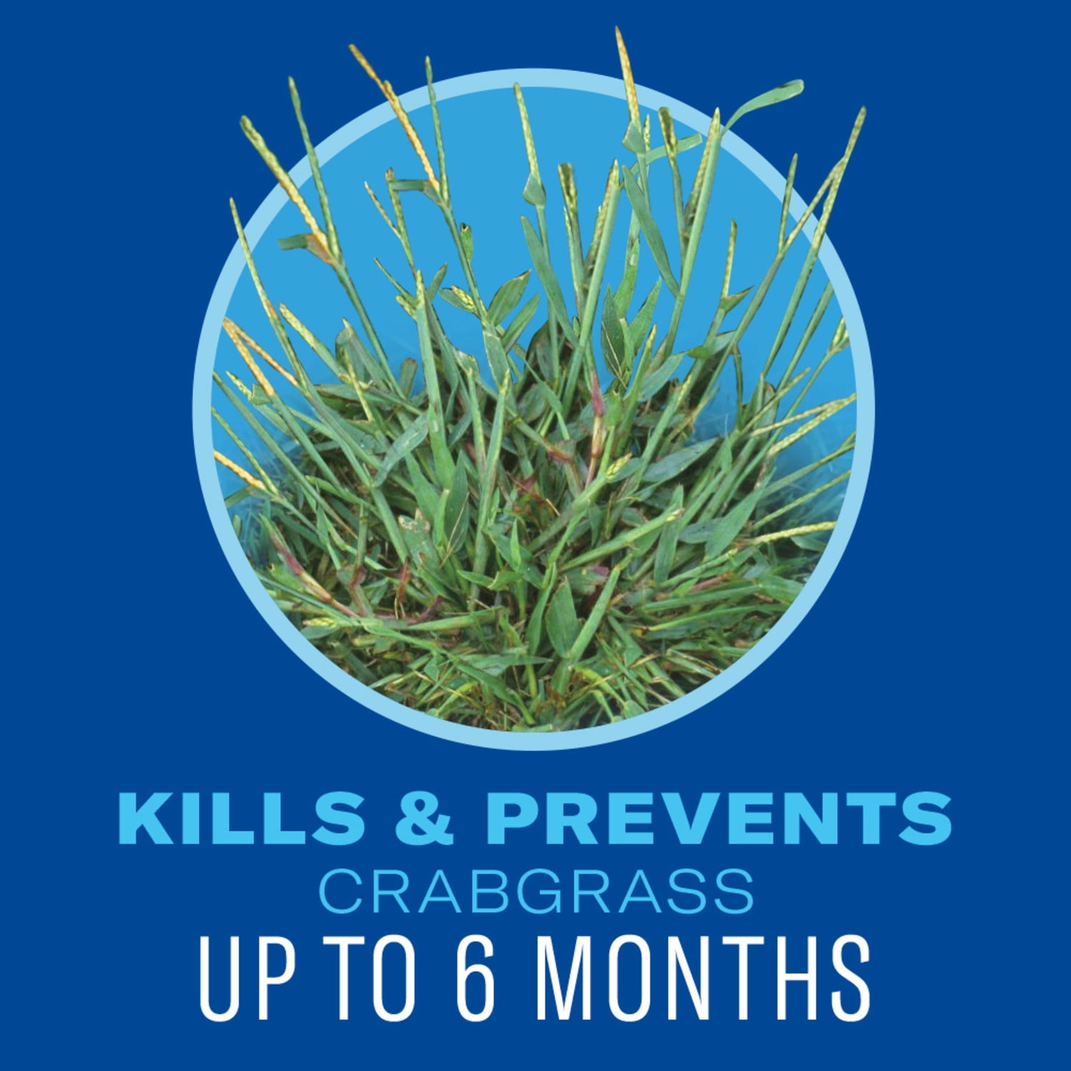 BioAdvanced 5-in-1 Weed and Feed 9.6 LBS