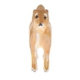 thumbnail image 1 of Figura de diorama en miniatura a escala 1/64 de perros y mascotas para escenario de tranvía ferroviario. shiba inu amarillo, 1 of 7