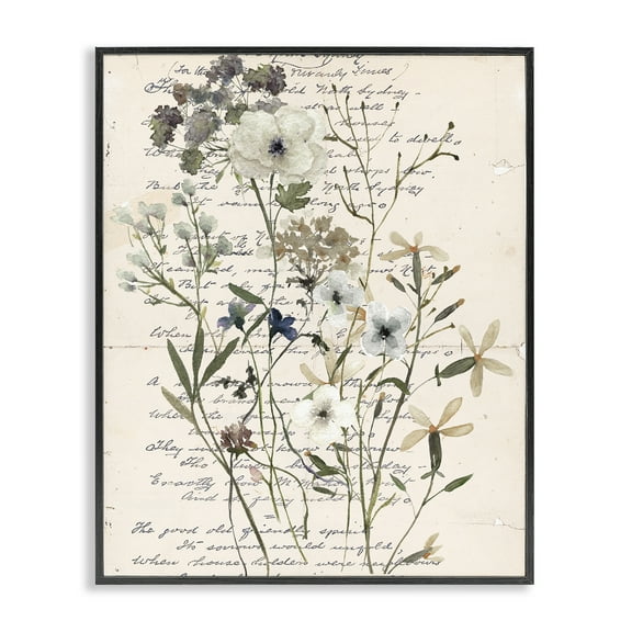Stupell Industries Vintage Pressed Flowers Plants & Flowers Painting Black Framed Art Print Wall Art, 11 x 14