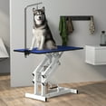 thumbnail image 2 of PawHut Height Adjustable Pet Grooming Table for Dogs Blue, 2 of 10
