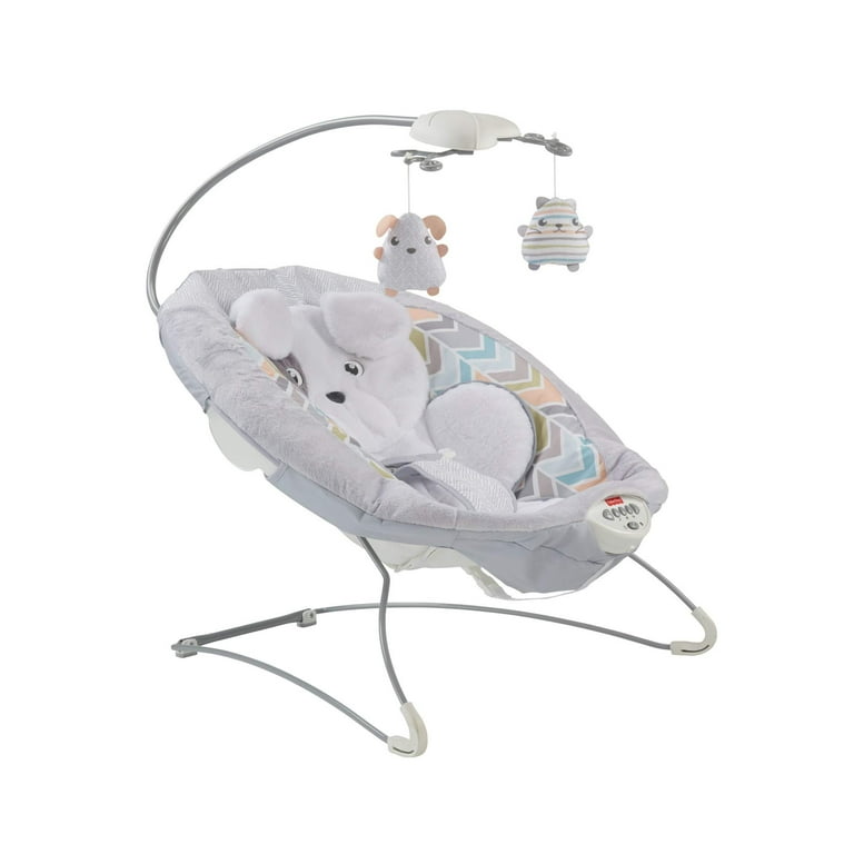 Fisher price snugapuppy bouncer batteries hotsell