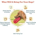 thumbnail image 2 of Juguete masticable RedDog, juguete molar de goma de grado alimenticio, dispensador de alimentos para mascotas no tóxico, juguete interactivo para limpieza de dientes, 2 of 5