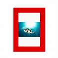 thumbnail image 1 of Marine Organism Tropical Sea Fish Picture Display Art Red Photo Frame, 1 of 4