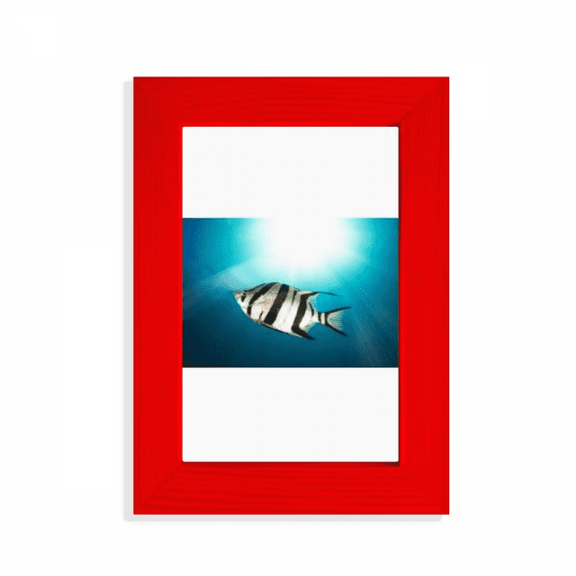 Marine Organism Tropical Sea Fish Picture Display Art Red Photo Frame