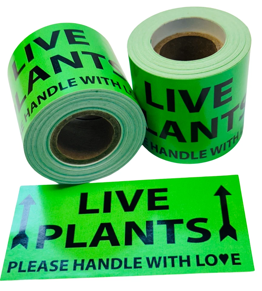 BUTTERFLY- Live Plants With Arrow Green 4"X 2" Large Adhesive Stickers 1 Roll Of 300 Labels