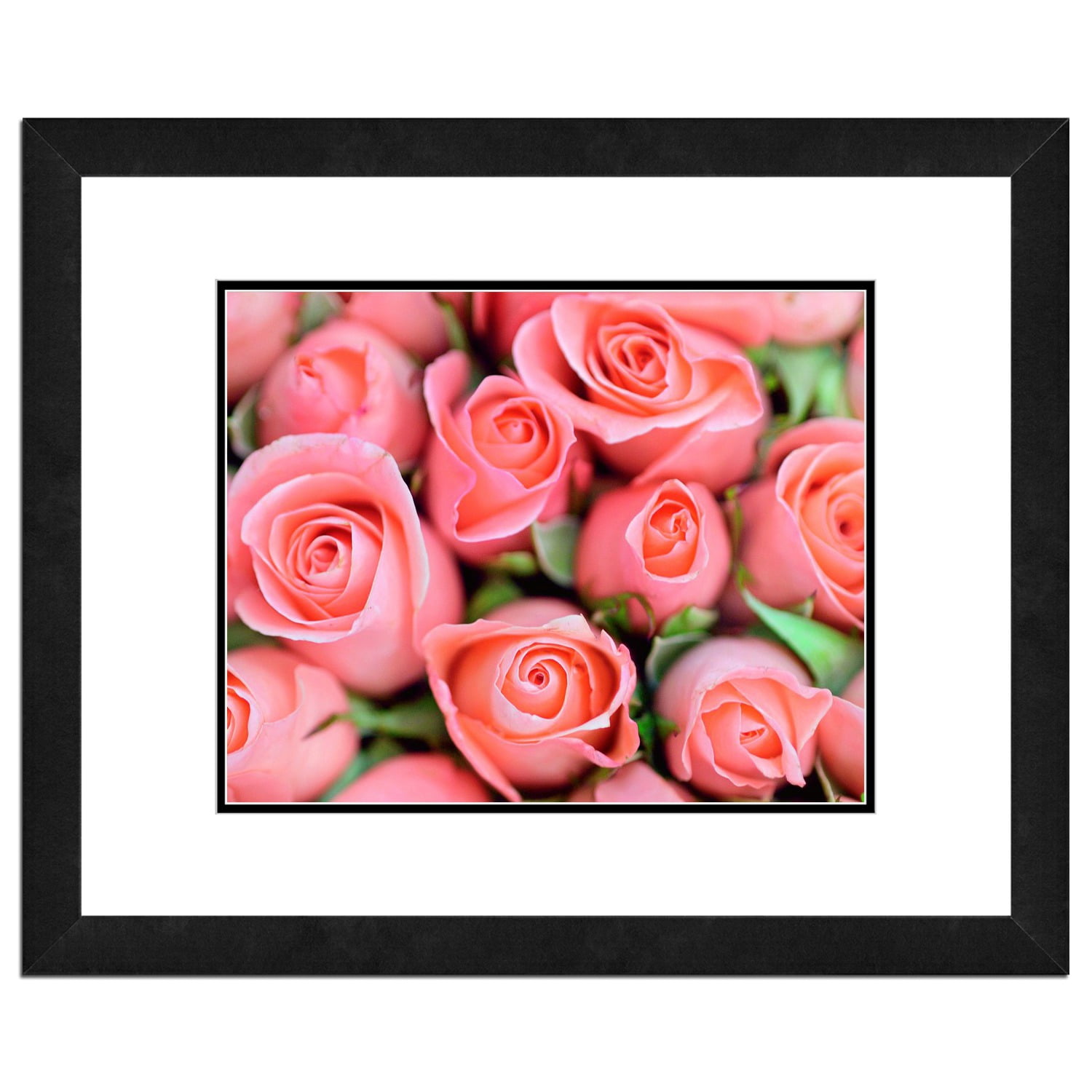 Framed Roses Pink Roses, Flowers Framed Photo by Photo File - Walmart.com