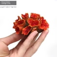 thumbnail image 1 of Planta de coral artificial para pecera, adorno decorativo para arrecife de acuario (coral surtido de 5 piezas), adornos de coral de poliresina, 1 of 5