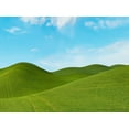 thumbnail image 2 of McLoughlin, James 24x19 Black Ornate Wood Framed with Double Matting Museum Art Print Titled - Farmscape Photo III, 2 of 4