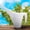 White_New#2998, variant on Portable Thickened Plastic Long Spout Watering Can, 1.8L Large Indoor Outdoor Garden Sprinkler Jug, Leak-Proof Plant Watering Pot with Comfortable Handle for Home and Gardening Use