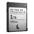 thumbnail image 3 of Angelbird AV PRO SE CFexpress V4 1T High-Speed Memory Card up to 12 K+ RAW (2-Pack) Bundle with Card Reader (3 Items), 3 of 9