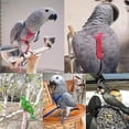 thumbnail image 2 of XS Correa de arnés para pájaros y loros, correas de tracción voladoras para exteriores, cuerda de entrenamiento antimordida ajustable, 2 of 5