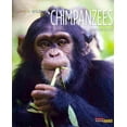 thumbnail image 1 of Chimpanzees, Melissa Gish Paperback, 1 of 2