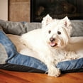 thumbnail image 3 of K&H Pet Products Genuine Logo Bolster, Grey/Blue, 21" x 30", 3 of 4