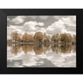 thumbnail image 2 of Frank, Assaf 24x19 Black Modern Framed Museum Art Print Titled - Trees along the lake, 2 of 5