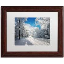 Trademark Fine Art "Going Nowhere" Canvas Art by Philippe Sainte-Laudy, White Matte, Wood Frame