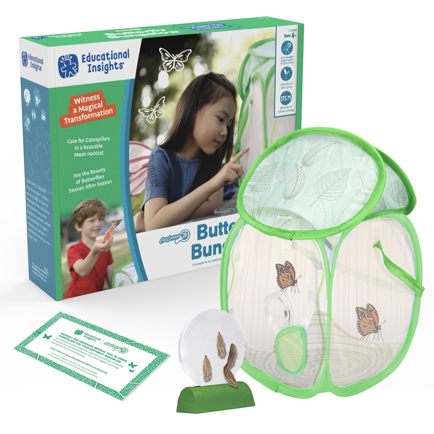 Details about   Discovery Mindblown Maze Planter Stem DIY Build & Grow Botany Kit *Easter Gift* 