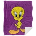 thumbnail image 2 of LOGOVISION Looney Tunes Blanket, 50inx60in, Tweety Bird Character Sherpa Back Super Soft Throw, 2 of 5